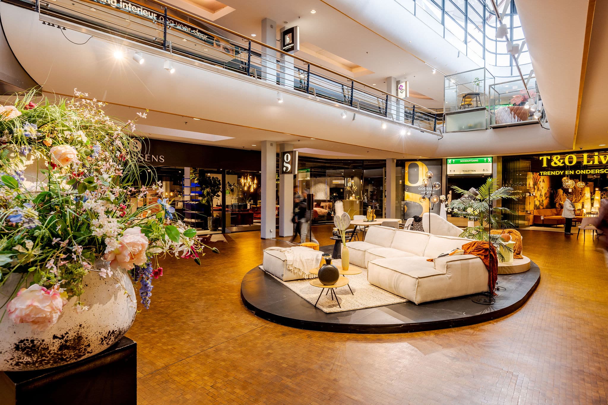 20230325 WoonmallAlexandrium JoniIsraeli 027 ER5 1905