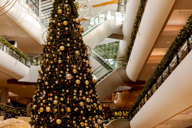 20221116 WoonmallAlexandrium JoniIsraeli 017 189A0279