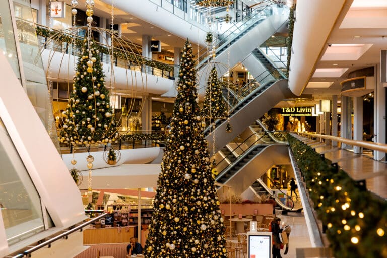 20221116 WoonmallAlexandrium JoniIsraeli 047 5V7A5514
